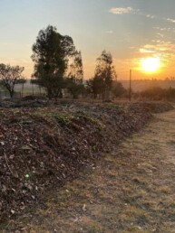composting services in Johannesburg South Africa