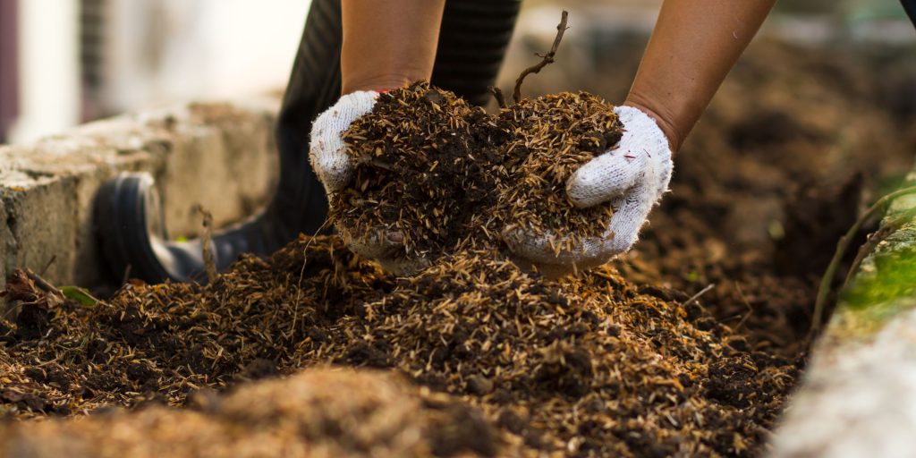 Browse our Organic Farm Products